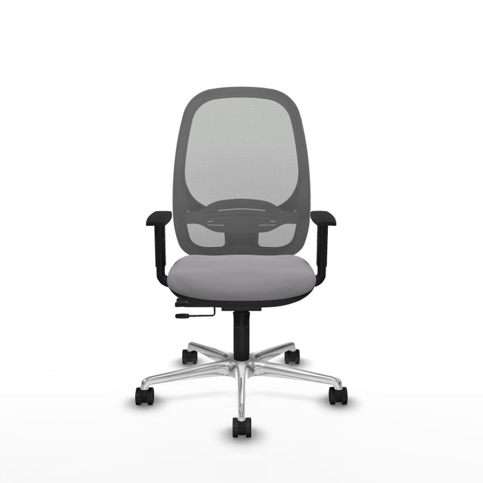 PIQUERAS Y CRESPO Silla de oficina Cilanco Gris con mecanismo Sincro/Traslack PIQUERAS Y CRESPO Silla de oficina Cilanco Gris con mecanismo Sincro/Traslack