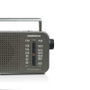 Daewoo Radio Portátil DW1121 Gris