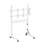 Oplite Nitrokart Monitor Stand V2 blanco