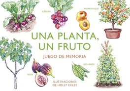 MTM UNA PLANTA, UN FRUTO