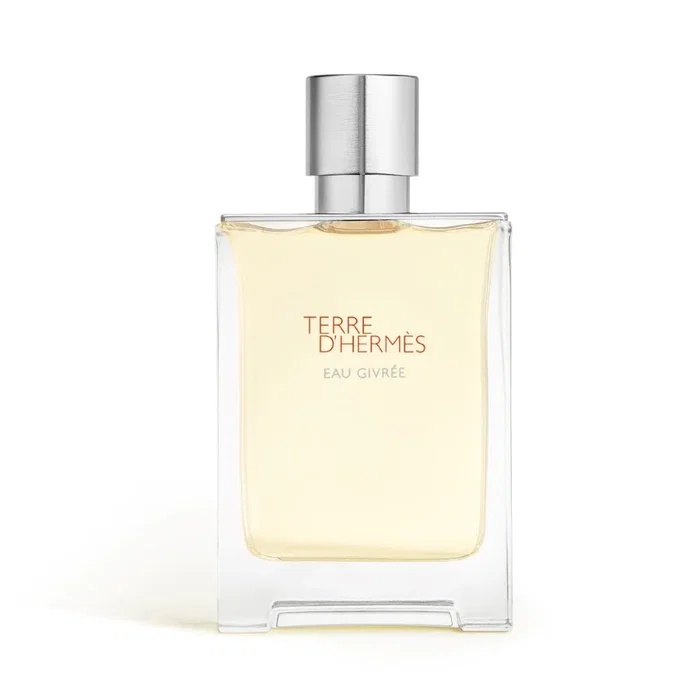 Hermès Terre d'Hermès Eau Givrée Eau de Parfum 100 ml