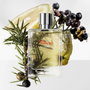 Hermès Terre d'Hermès Eau Givrée Eau de Parfum 100 ml