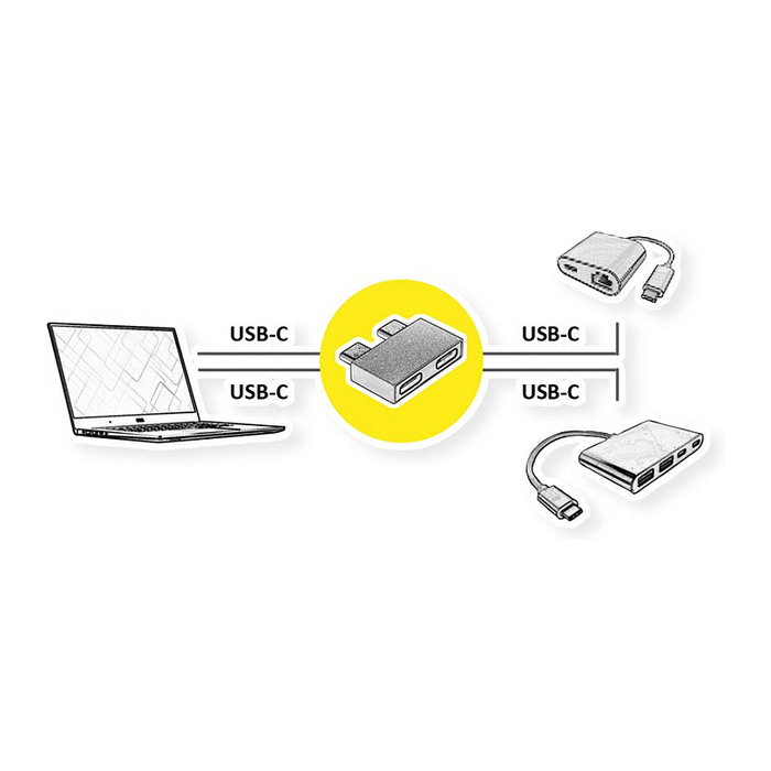 ROLINE Adaptador USB 3.2 Gen 2, 2x USB Tipo C Macho a 2x USB Tipo C Hembra, Plata