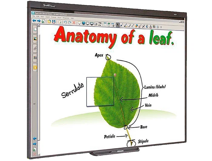 Promethean Sb480 Pizarra Interactiva 77 pulgadas con Proyector y Soporte