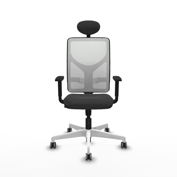 PIQUERAS Y CRESPO Silla de oficina Motilla con mecanismo Sincro, Gris oscuro y Blanco PIQUERAS Y CRESPO Silla de oficina Motilla con mecanismo Sincro, Gris oscuro y Blanco
