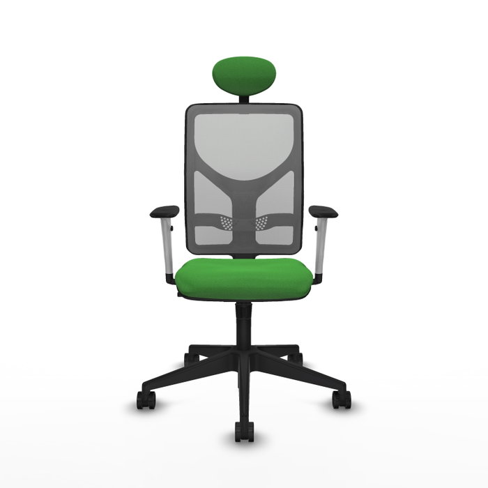 PIQUERAS Y CRESPO Silla de oficina Motilla con mecanismo Sincro, Verde y Gris PIQUERAS Y CRESPO Silla de oficina Motilla con mecanismo Sincro, Verde y Gris