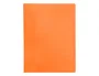 Liderpapel Carpeta Escaparate 60 Fundas Polipropileno DIN A4 Naranja Fluor Opaco