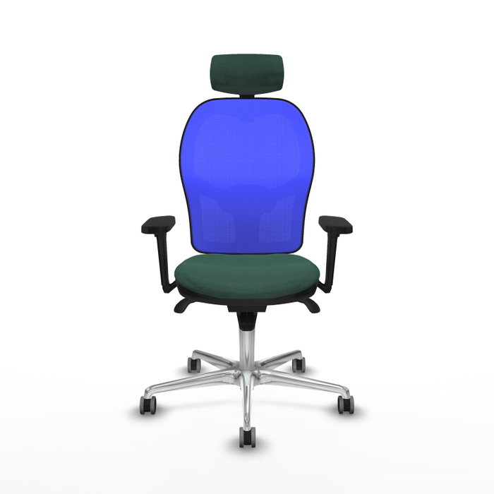 PIQUERAS Y CRESPO Silla de oficina Jorquera Verde botella y Azul PIQUERAS Y CRESPO Silla de oficina Jorquera Verde botella y Azul