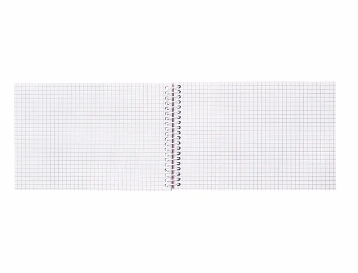 Liderpapel Cuaderno Espiral Bolsillo Doceavo Apaisado Witty Tapa Dura 80 Hojas 75gr Cuadro 4 mm Colores Surtidos