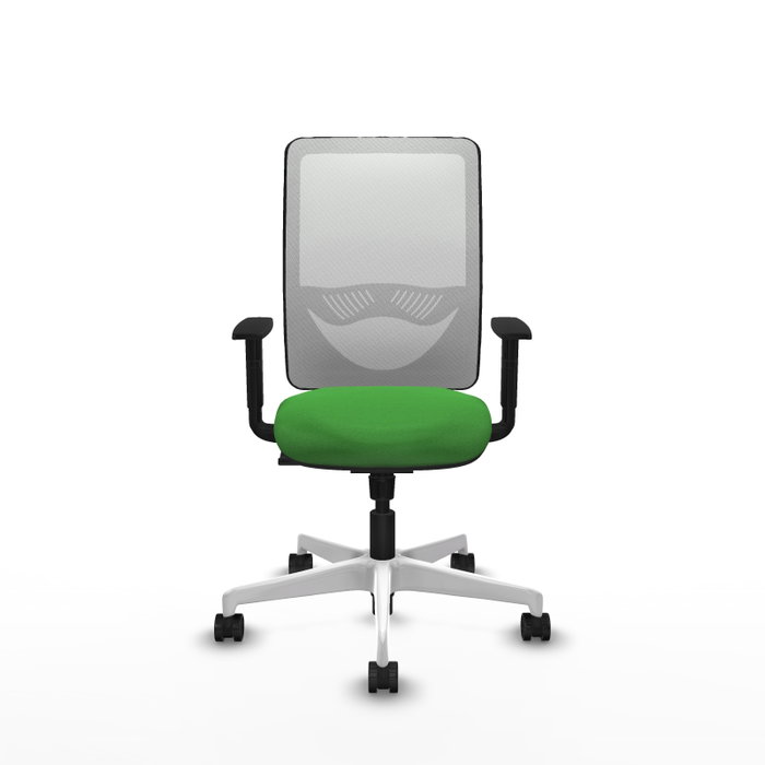 PIQUERAS Y CRESPO Silla de oficina Zulema con mecanismo Sincro, Verde y Blanco PIQUERAS Y CRESPO Silla de oficina Zulema con mecanismo Sincro, Verde y Blanco