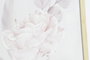 DKD Home Decor Cuadro Lienzo Florero Enmarcado Surtido de 2