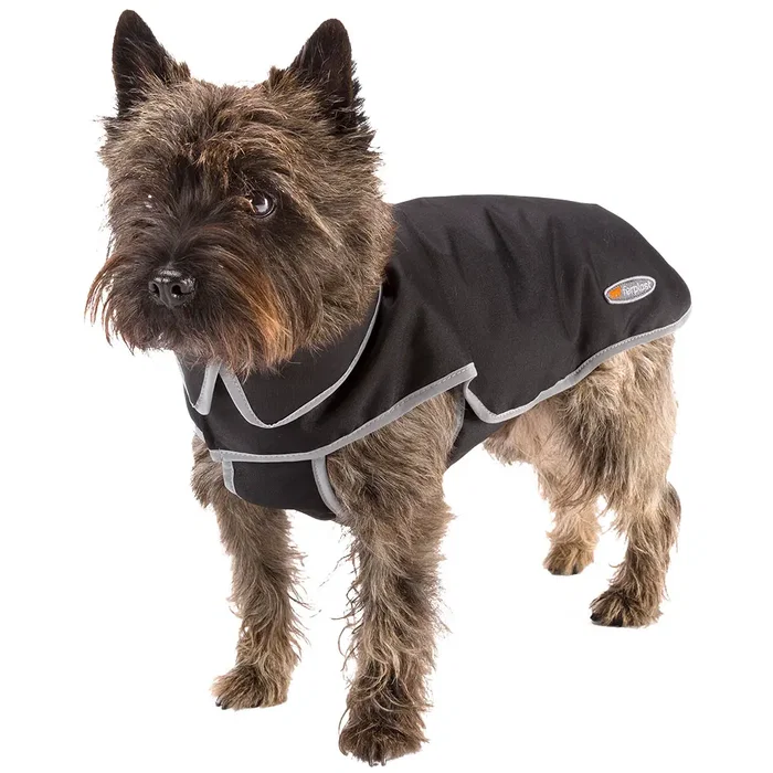 Ferplast Techno TG 70 Vet Transportín para Perros y Gatos Ferplast Techno TG 70 Vet Transportín para Perros y Gatos