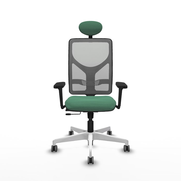 PIQUERAS Y CRESPO Silla de oficina Motilla con mecanismo Sincro/Traslack, Verde esmeralda y Gris PIQUERAS Y CRESPO Silla de oficina Motilla con mecanismo Sincro/Traslack, Verde esmeralda y Gris