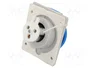 SEZ DK IE 1632 Conector de alimentación AC trifásico 16A 230V