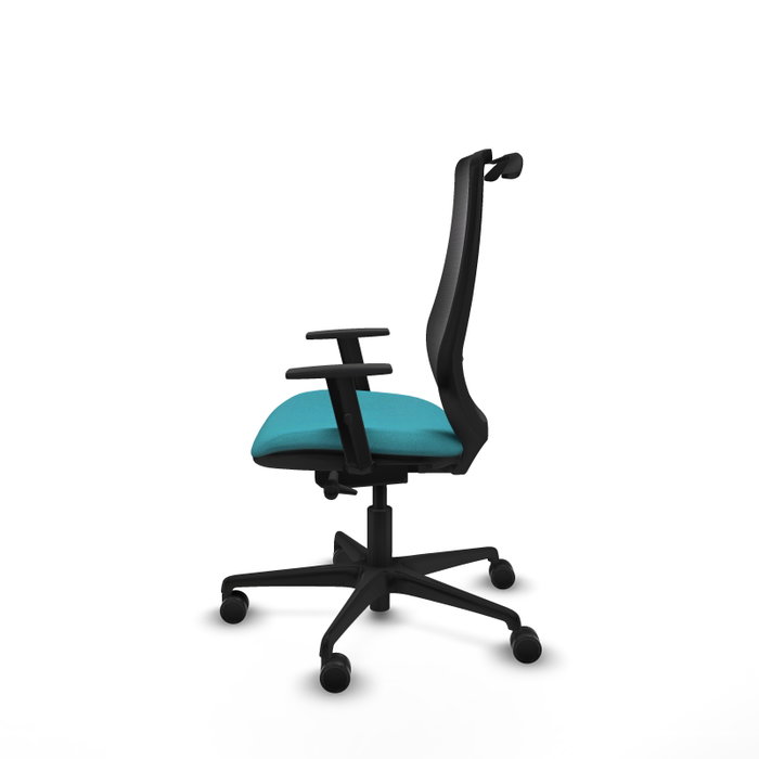PIQUERAS Y CRESPO Silla de oficina Mardos con mecanismo Sincro/Traslack, Turquesa y Negro PIQUERAS Y CRESPO Silla de oficina Mardos con mecanismo Sincro/Traslack, Turquesa y Negro