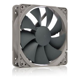 NOCTUA NF-P12 Ventilador 120mm PWM 1700 RPM Gris