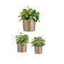 Ibergarden Set de 3 Macetas de Cerámica Cilindro Taupe