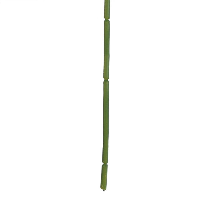 Ixia Hoja de Helecho Verde de Polietileno 64 cm