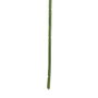 Ixia Hoja de Helecho Verde de Polietileno 64 cm