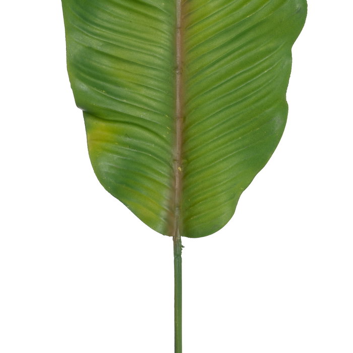 Ixia Hoja de Helecho Verde de Polietileno 64 cm