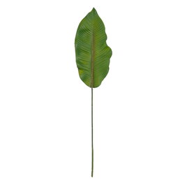 Ixia Hoja de Helecho Verde de Polietileno 64 cm