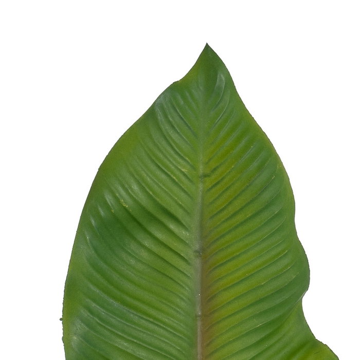 Ixia Hoja de Helecho Verde de Polietileno 64 cm