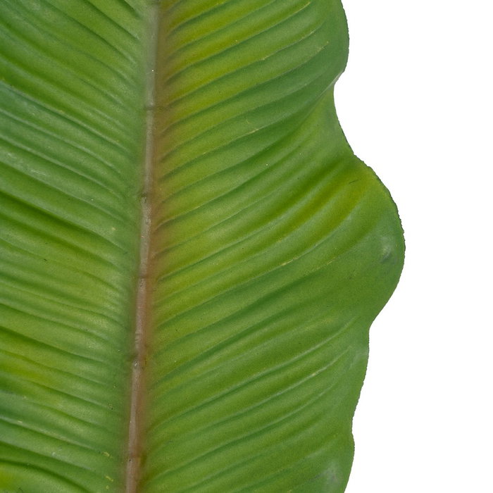 Ixia Hoja de Helecho Verde de Polietileno 64 cm