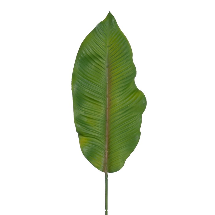 Ixia Hoja de Helecho Verde de Polietileno 64 cm