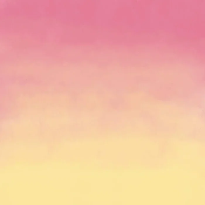 Cricut Infusible Ink Transfer Sheets Pink Lemonade 2-pack Cricut Infusible Ink Transfer Sheets Pink Lemonade 2-pack