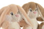 DKD Home Decor Peluche Conejo Marron Beige 20 x 23 x 21 cm (6 Unidades)
