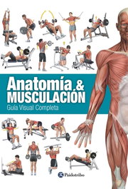 PAIDOTRIBO, Anatomía & musculación