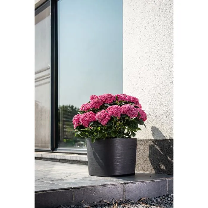 Garden Id Maceta con reserva de agua 08310169 Negro-Anth 25 x 25 cm 100% residuos domésticos 100% reciclable Superficie estructurada