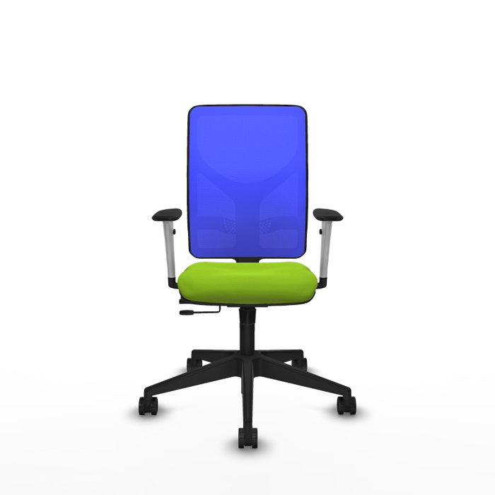 PIQUERAS Y CRESPO Silla de oficina Motilla con mecanismo Sincro/Traslack, Pistacho y Azul