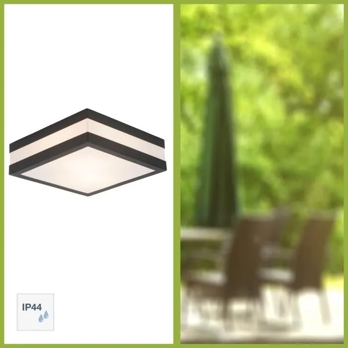 Brilliant Plafón de Exterior Antracita IP44 2xE27 11W Brilliant Plafón de Exterior Antracita IP44 2xE27 11W