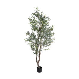 Ixia Planta de Olivo Verde Decoración 110 x 210 cm