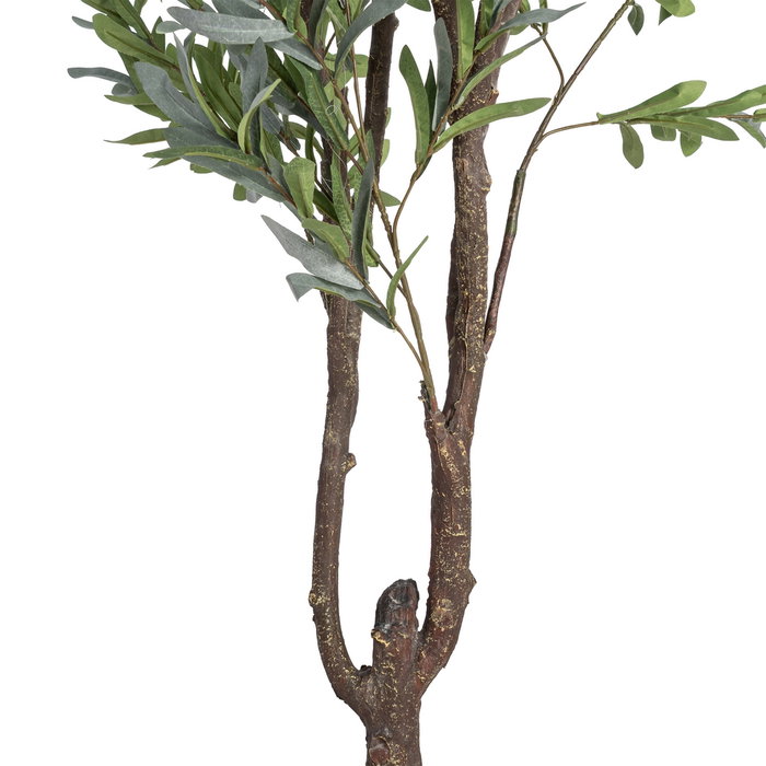 Ixia Planta de Olivo Verde Decoración 110 x 210 cm Ixia Planta de Olivo Verde Decoración 110 x 210 cm