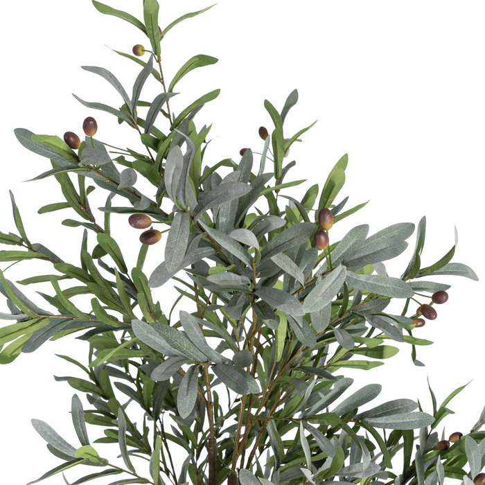 Ixia Planta de Olivo Verde Decoración 110 x 210 cm Ixia Planta de Olivo Verde Decoración 110 x 210 cm