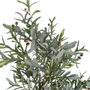 Ixia Planta de Olivo Verde Decoración 110 x 210 cm