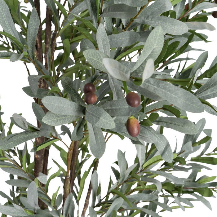 Ixia Planta de Olivo Verde Decoración 110 x 210 cm Ixia Planta de Olivo Verde Decoración 110 x 210 cm