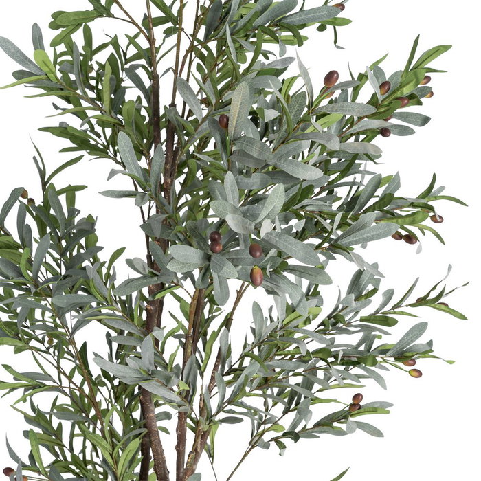 Ixia Planta de Olivo Verde Decoración 110 x 210 cm Ixia Planta de Olivo Verde Decoración 110 x 210 cm