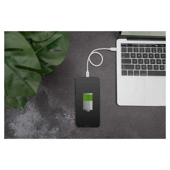 Digitus Cable USB-C a Lightning MFi 1m - Cable de Datos y Carga, Blanco