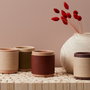 Home Deco Factory Vela Perfumada Colección Natural (Aroma Higos, Peonía, Bruma o Madera Especiada), Diámetro 9 cm Altura 9.5 cm, Combustión 17h, Sur.