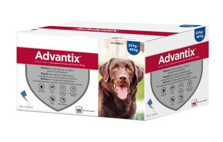 Elanco Advantix Spot-On para Perros de 25 a 40 kg, Antiparasitario Externo en Pipetas, Pack de 24 Unidades de 4 mL Elanco Advantix Spot-On para Perros de 25 a 40 kg, Antiparasitario Externo en Pipetas, Pack de 24 Unidades de 4 mL