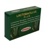 INTEGRALIA Lactobacillus Plus 60 Cápsulas