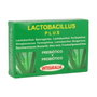 Integralia Lactobacillus Plus 60 cápsulas