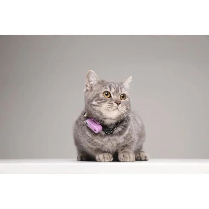 Tickless TIC5999566451638 Repelente Ultrasónico para Gatos Mini Protección contra Pulgas y Garrapatas Organ Purple