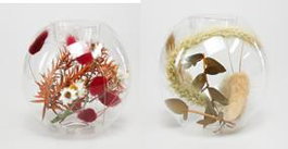 DKD Home Decor Portavelas de Cristal con Flor Seca Surtido Beige y Rojo