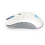 Endorfy Gem Plus Wireless Onyx White (blanco/gris)