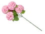 Ibergarden Vara Ramo 5 Pompones Rosa Palo 57 cm Plástico (Set de 12)
