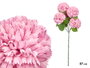 Ibergarden Vara Ramo 5 Pompones Rosa Palo 57 cm Plástico (Set de 12)